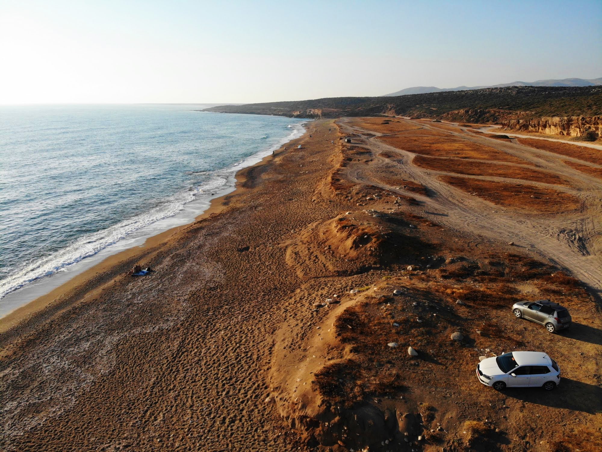 beach cleanup at Akamas turtle nesting sites