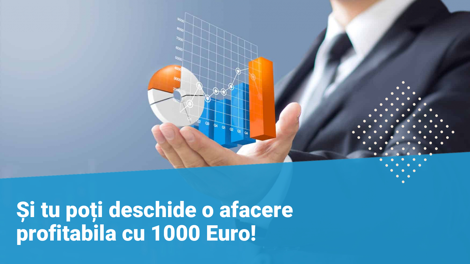afacere profitabila cu 1000 euro