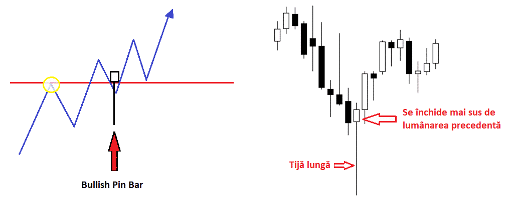 piața forex articolul cont demo pe piață