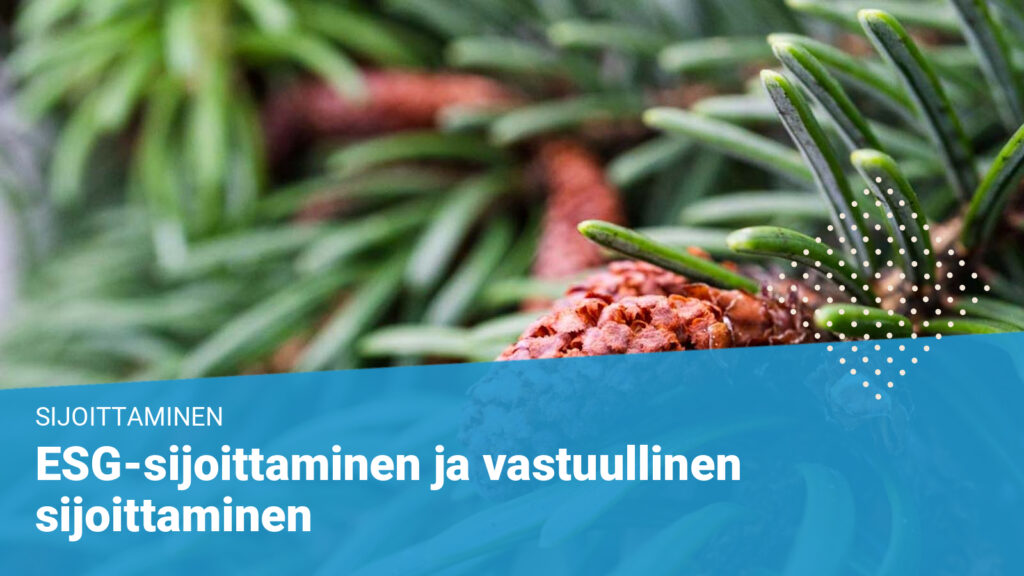 eettinen sijoittaminen